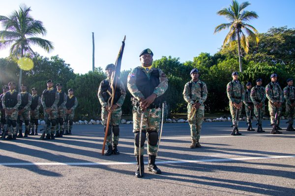 Fuerza Aérea de República Dominicana conmemora el Día de la Constitución con solemne izada del Pabellón Nacional